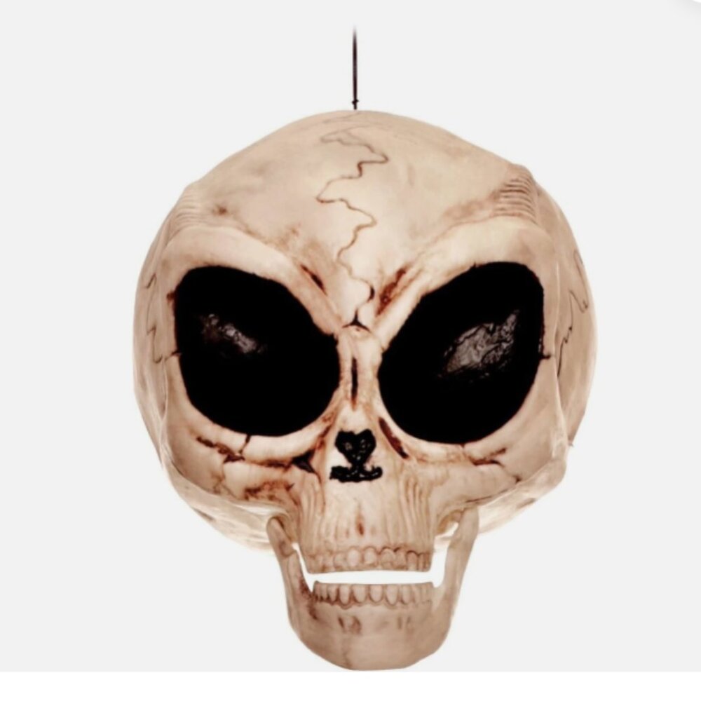 Crazy Bonez -Alien Skull 6" Halloween, Skulls, Skeletons, Alien, Area 51